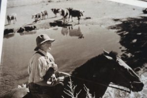 Josie Bassett - tending cattle - Week 18