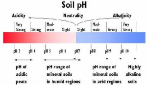 Soil pH chart - Dictionary