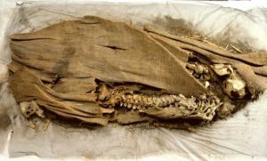 Spirit Cave Mummy - Native American Pre-History