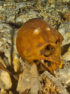 Hoyo-Negro Skull - Native American Pre-History