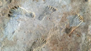 White Sands footprints - Native American Pre-History